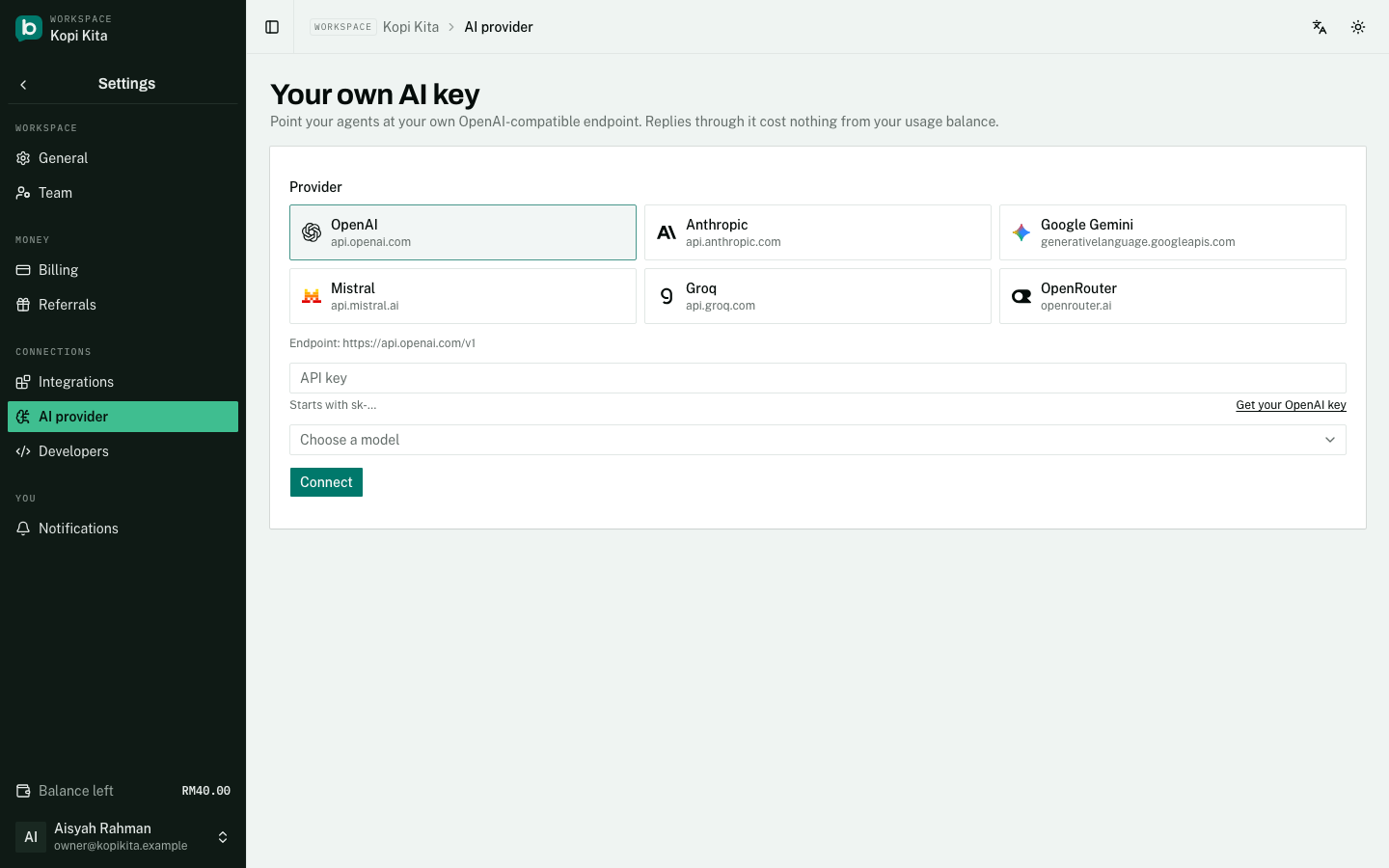 The AI provider page: six providers to choose from, then your key and model.