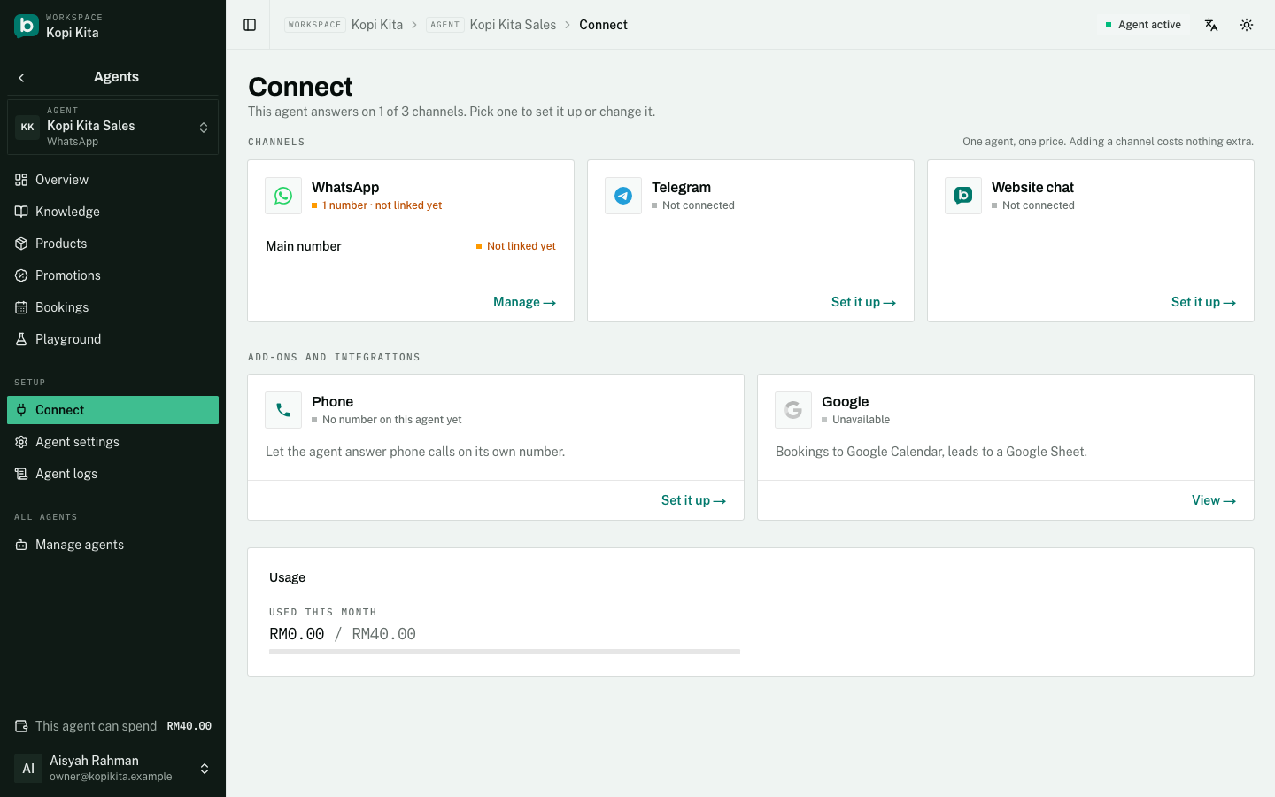 The agent's Connect page: WhatsApp, Telegram and website chat, with Phone and Google underneath.