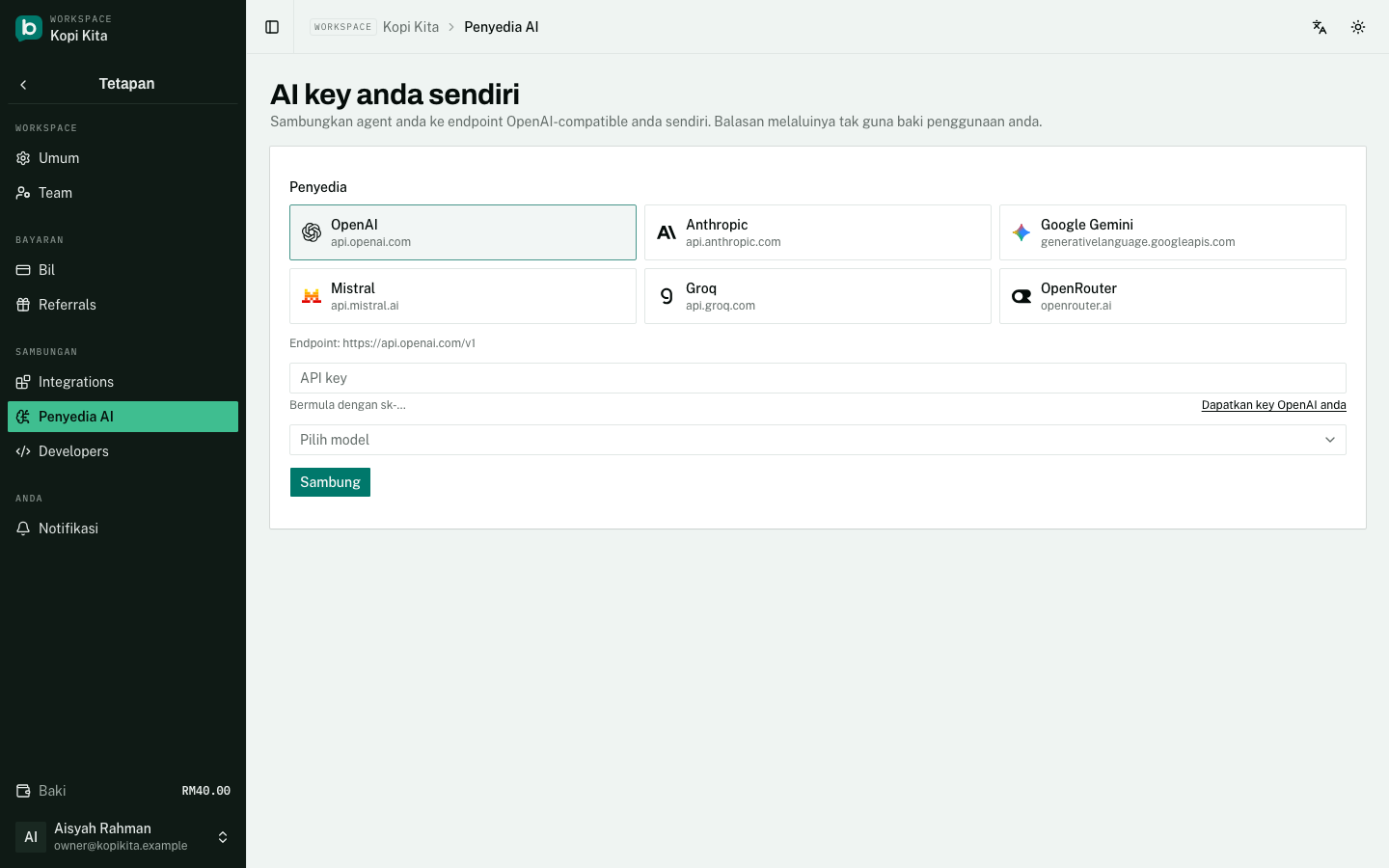Halaman AI provider: enam penyedia untuk dipilih, kemudian key dan model anda.